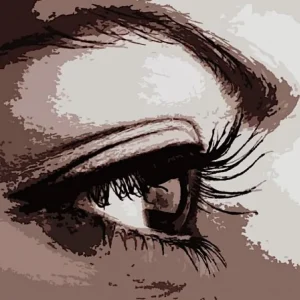 Olieverfschilderij Oog